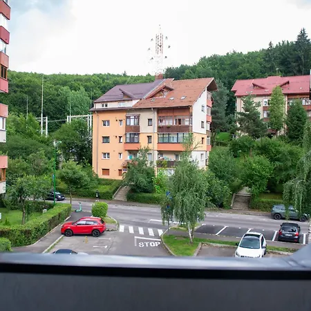 Modern Suite - Nature View Loft - Luxury Rentals-3