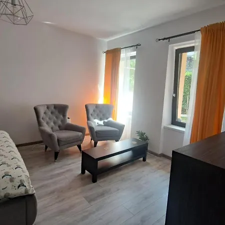 Cosy Studio In The Heart Of Brasov-2