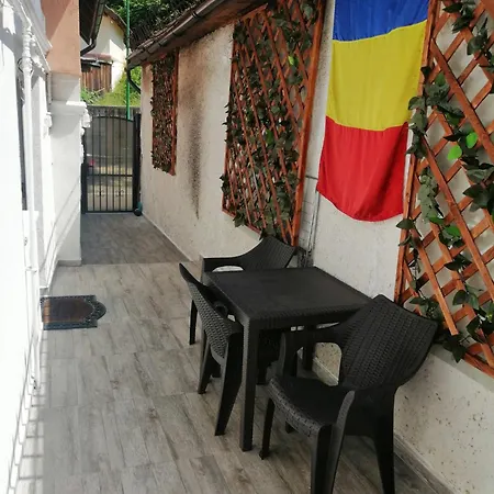 Ursul Balu-3