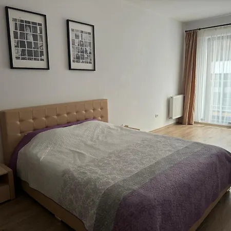 Apart Mihai Viteazu Residence-3