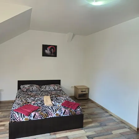 Apartamente de inchiriat Lucky House-2