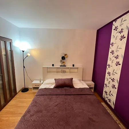 Carla Studio-2
