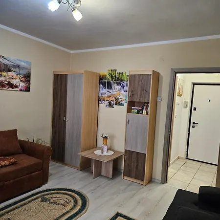 Cozy Studio Coresi-3