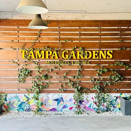 Joy City Stay Tampa Apartments 6-2