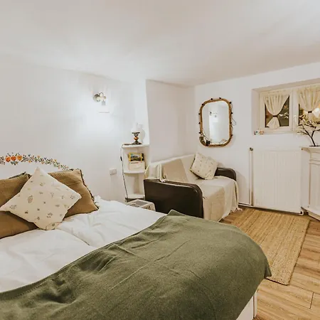 Republicii Rustic Apartament in Brașov City Center-3