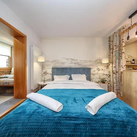 Tiny Studio Brasov-3