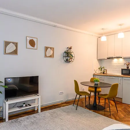 Studio Central lângă Biserica Neagră și Turnul Alb-3