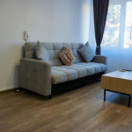 Chic And Sunny Downtown Apartment-2
