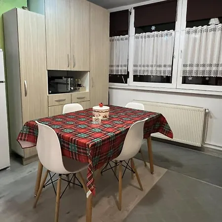 Ana Lux Apartments Brasov-3