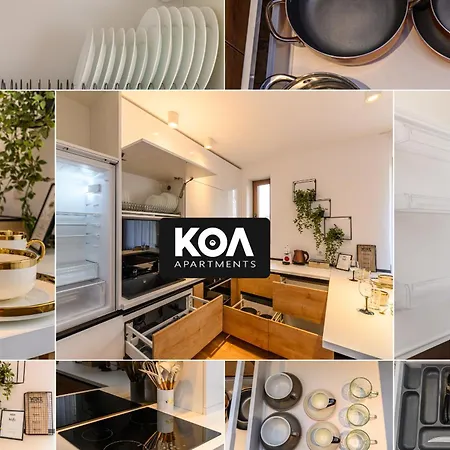 Koa - Memo Haus-3