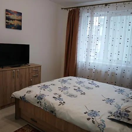 Apartments For Rent Near Coresi Shopping-2