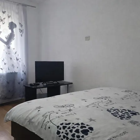 Best Apartment Cocorului, Self check-in, Parking Nearby, Brasov-2