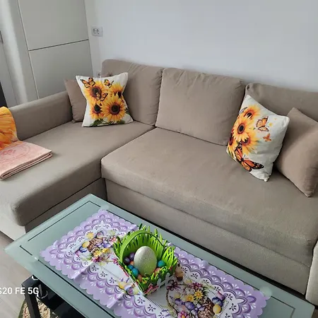Casa cu Floarea Soarelui-3