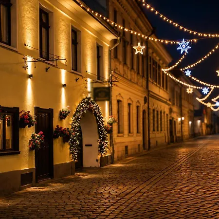 Luxurious & Spacious Residence In The Heart Of Brasov-3