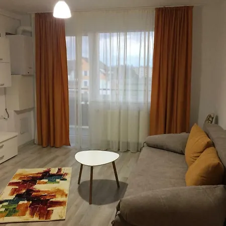 Friendly Rentals Brasov-3