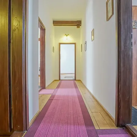 Baiulescu apartments-2