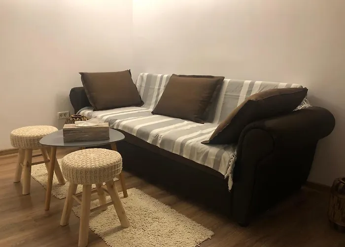 Cozy central apartment Brașov