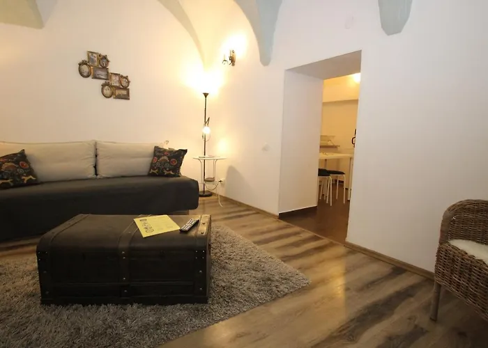 Gothic Apartment Brașov