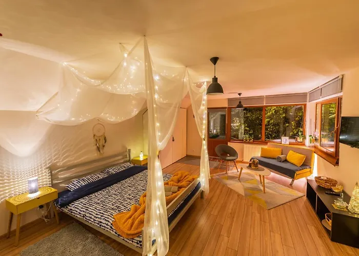 Dragonfly Studio With Garden & Free Private Parking Brașov