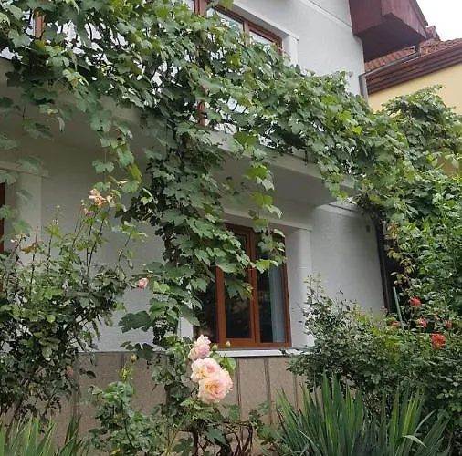 Madalina Apartment Brașov