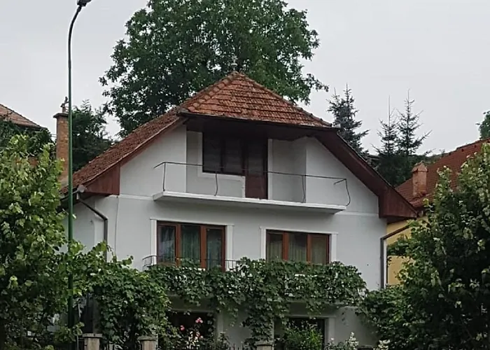 Madalina Apartment Brașov
