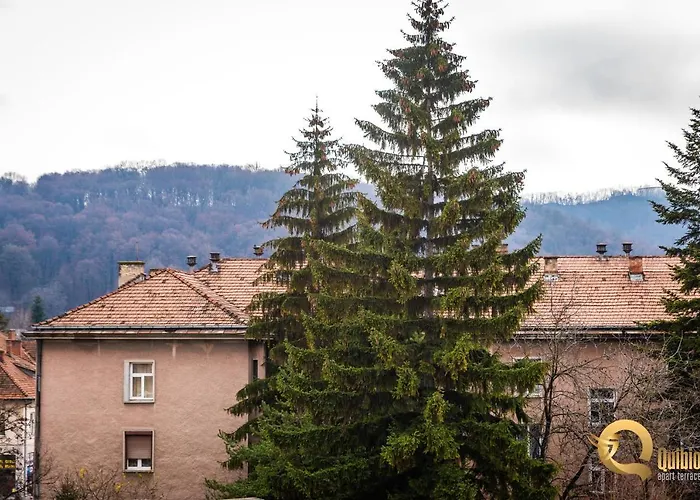 Quibio Apart Terrace Brașov