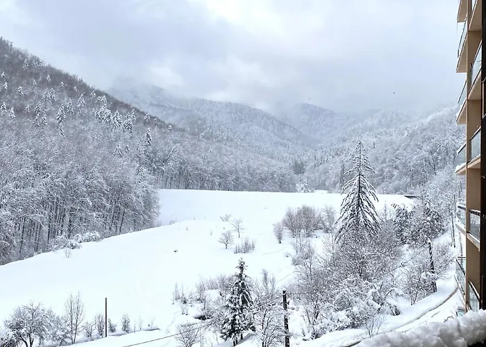 Nature View Apartment Brașov