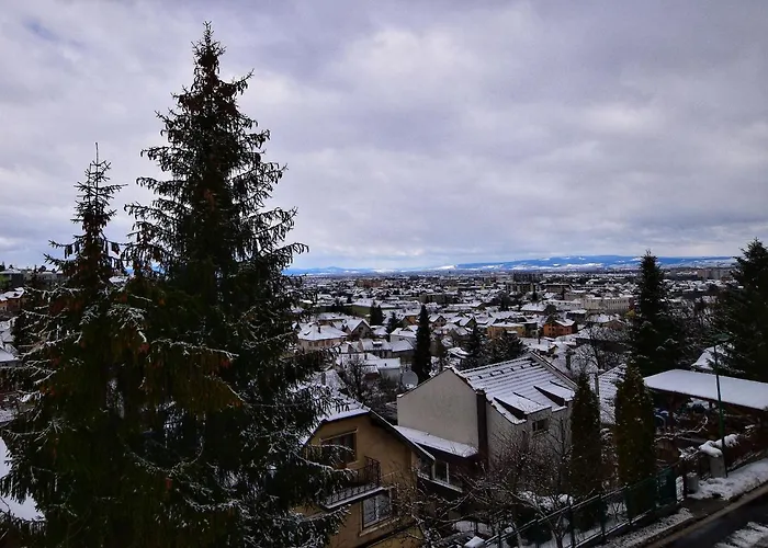 Flori'S Apartment Brașov