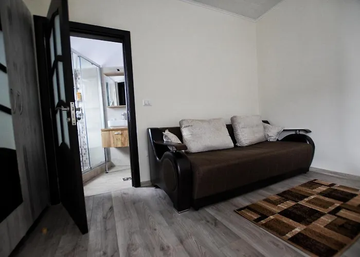 Flori'S Apartment Brașov