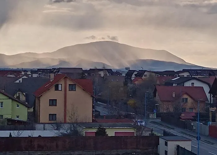 Casa Elena Apartment Brașov