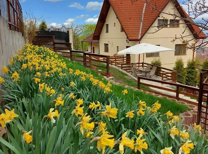Apartament Matei Brașov