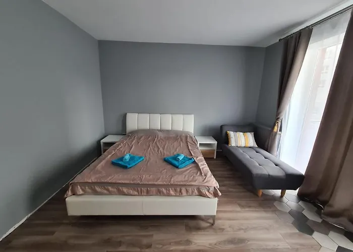 Garsoniera Zebra Apartment Brașov