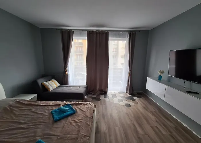 Garsoniera Zebra Apartment Brașov