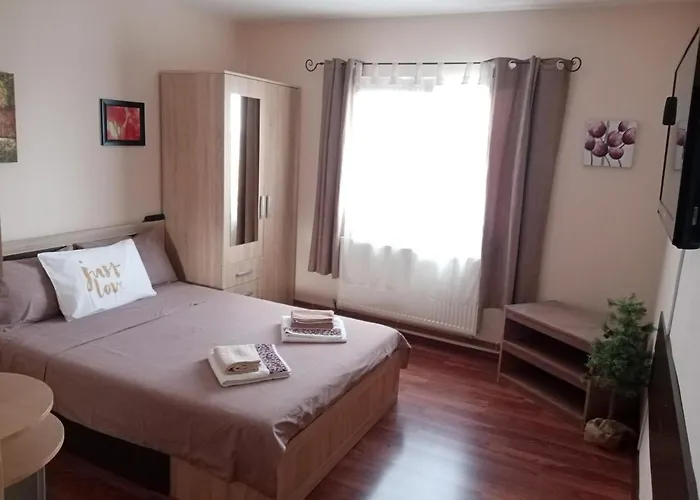 Casa Elena Apartment Brașov