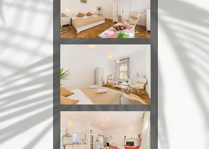Zen House Apartment Brașov