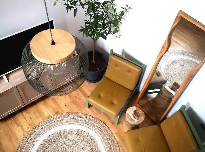 Codicei Studio Brașov