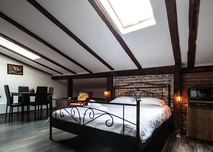 Little Paris Booutique In Old Town Center Brasov Apartment