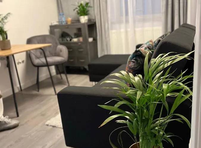 Musai Apartment Brașov