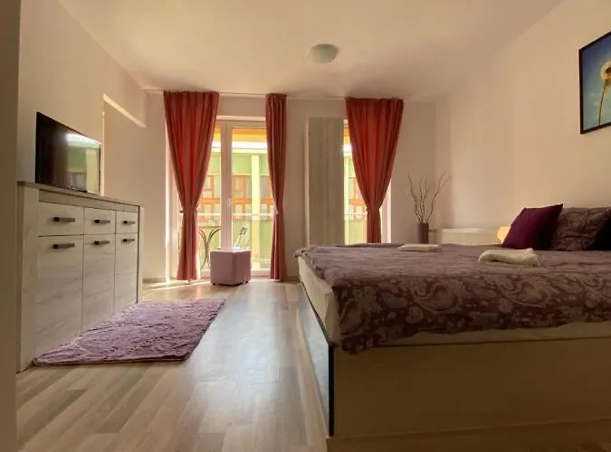 Central Studio Stefan-Brașov