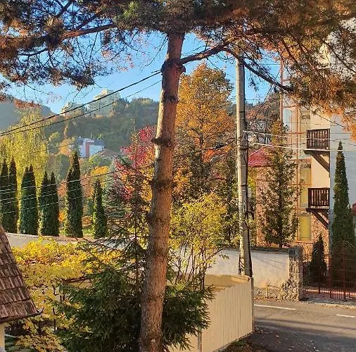 Central Luxury Apartment With City View Brașov