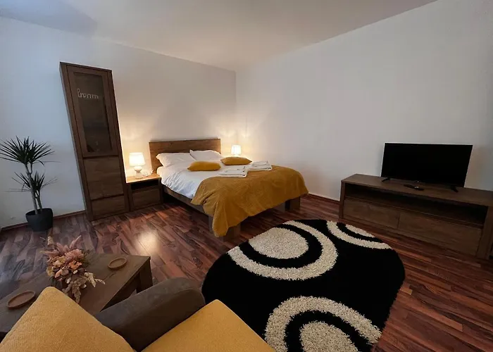 Cozy Flat Apartment Brașov