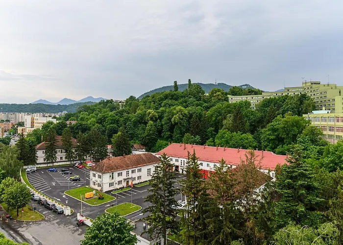 Rezerva Mihai Brașov