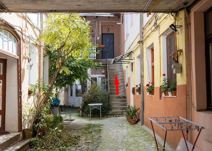 The Bear'S Den In Old City Centre Brașov