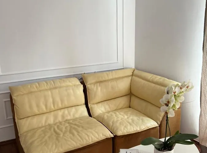Hidden Gem Apartment In The Center Of The City Brașov