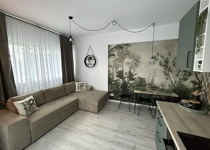 Eucalyptus Apartament Brașov