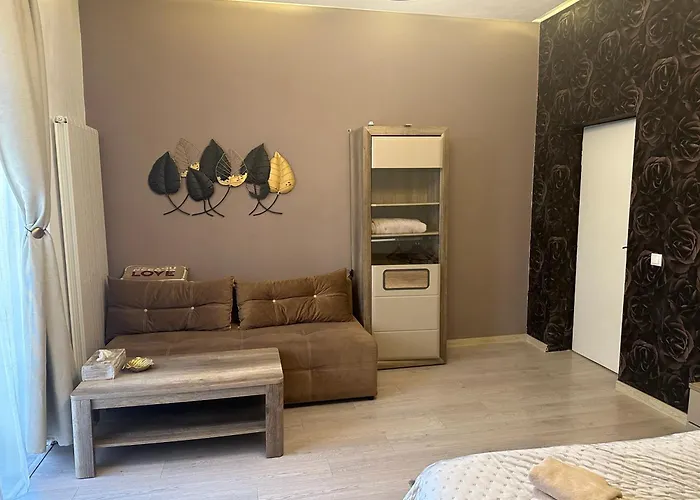 Mystic Dream House Brasov Apartment