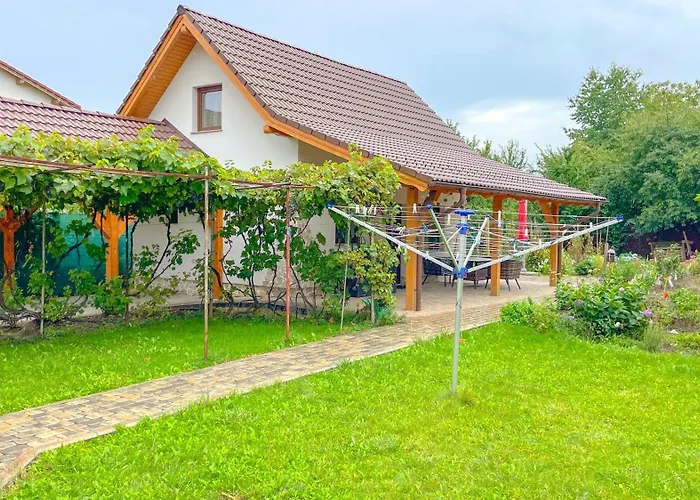 Vilux With Indoor Private Parking Apartment Brașov
