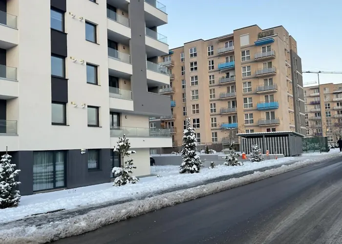 Green Velvet Studio Brașov