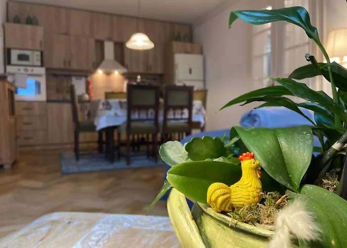 Oaza de relaxare Apartment Brașov