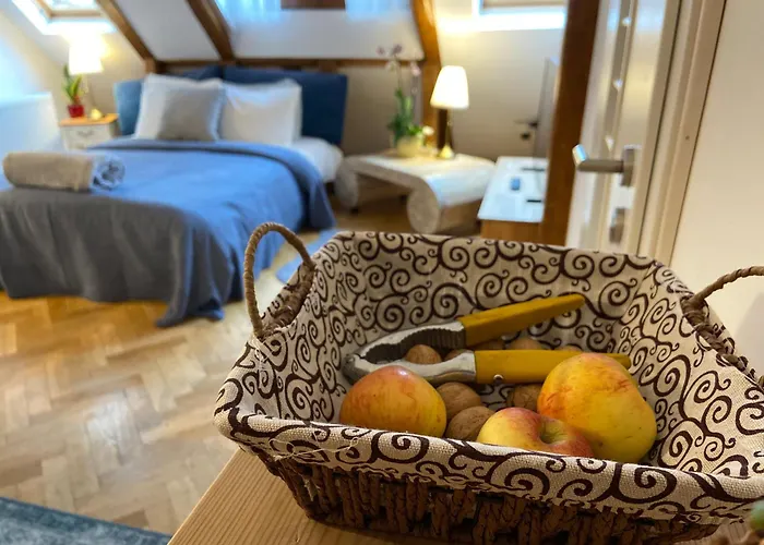 Oaza de relaxare Apartment Brașov